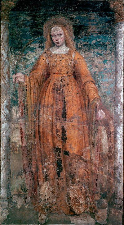 Ambrogio da Fossanon pyhä Katariina Sienan fresko nimeltään Bergognone (1460-1523). Mitat 170x77 cm Milano, Breran taidegalleria tekijältä Ambrogio da Fossano (c.1460 1523) (attr.to)