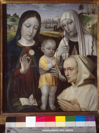 Madonna ja lapsi, Pyhä Katariina Siena ja karthusialainen munkki tekijältä Ambrogio da Fossano (c.1460 1523)