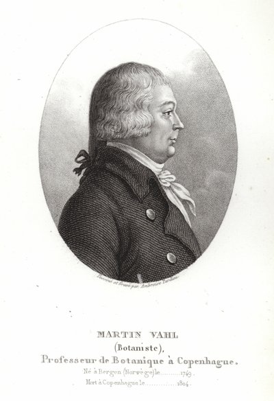 Martin Vahl tekijältä Ambroise Tardieu
