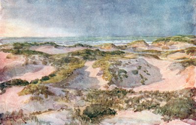 Myrskyinen ilta: Dunes (värilitografia) tekijältä Amedee (after) Forestier