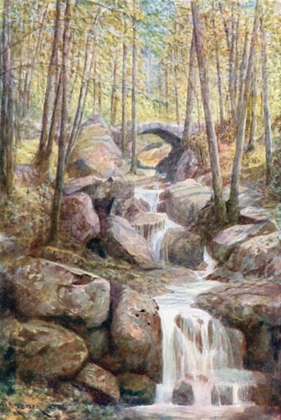 Pont du Prophete, Promenade Meyerbeer, Kylpylämetsä (värilitro) tekijältä Amedee (after) Forestier