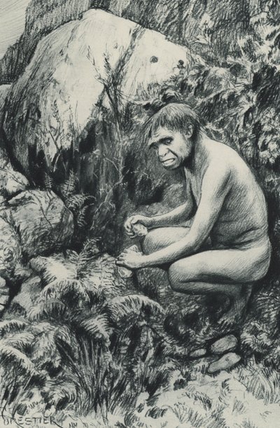 Vanhan tasangon muinainen vuokralainen, ehkä kymmenentuhatta vuosisataa sitten tekijältä Amedee Forestier