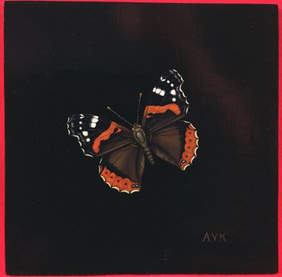 Red Admiral perhonen, 2001 tekijältä Amelia Kleiser