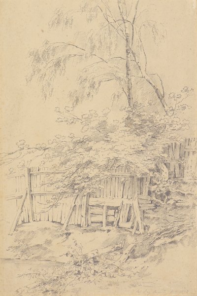 Bromley Hill tekijältä Amelia Long