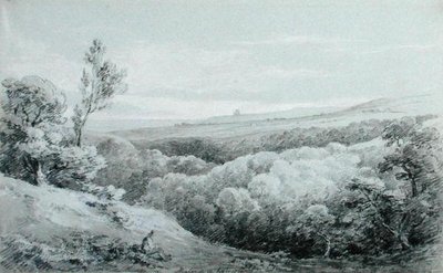 Whitby Abbey, Mulgravesta tekijältä Amelia Long