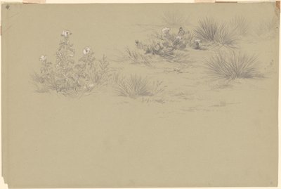 Kukkivat pensaat ja aavikkokasvit tekijältä American 19th Century after John Frederick Kensett