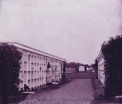Avenue of Tombs Washingtonin hautausmaalla, New Orleansissa (m/v kuva) tekijältä American Photographer (after)