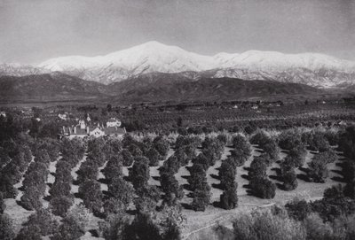 Kalifornia: Redlands, Smiley Heightsista, auringonpaiste, appelsiinitarhat ja lumiset huiput (m/w kuva) tekijältä American Photographer (after)