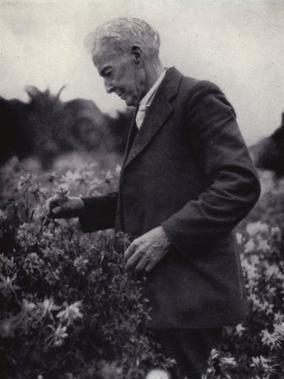 Luther Burbank entre les seves flors (foto b/n)finès tekijältä American Photographer (after)