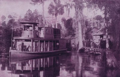 Ocklawaha-joella, Floridassa (m/w kuva) tekijältä American Photographer (after)