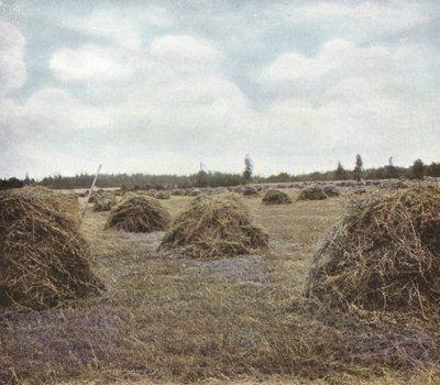 Oregon: Alfalfa (kuva) tekijältä American Photographer (after)