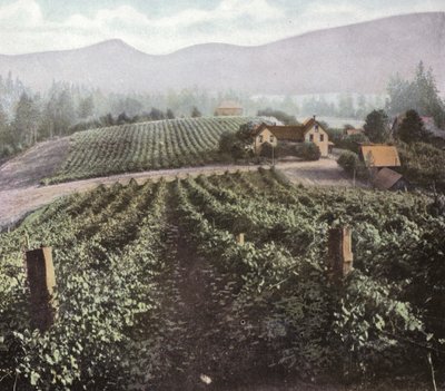 Oregon: Monipuolinen viljely Willamette Valleyssa (kuva) tekijältä American Photographer (after)