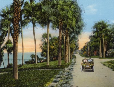 Riverside Drive, Fort Pierce, Florida (kuva) tekijältä American Photographer (after)