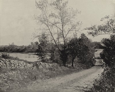 Windham Frog Pond, Windham, Connecticut (m/w kuva) tekijältä American Photographer (after)