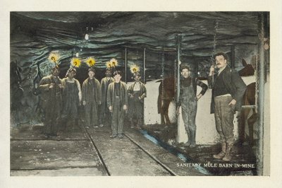 Amerikkalainen hiilikaivostoiminta: (värikuva): Saniteettimuulien navetta kaivoksessa (värikuva) tekijältä American Photographer