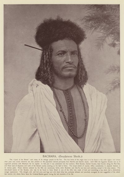 Bachara, soudanilainen sheikki tekijältä American Photographer