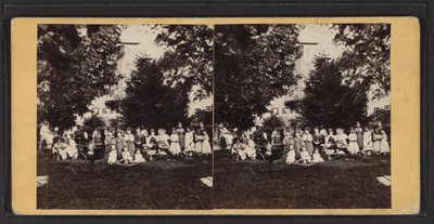 Lapset ja leikkipaikka, Oneida Community, New Yorkin osavaltio, n. 1870 (m/v kuva) tekijältä American Photographer