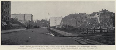Fifth Avenue, näkymä kohti Mt Morris Parkia One Hundred and Eighteenth Streetiltä (valkovalkoinen kuva) tekijältä American Photographer