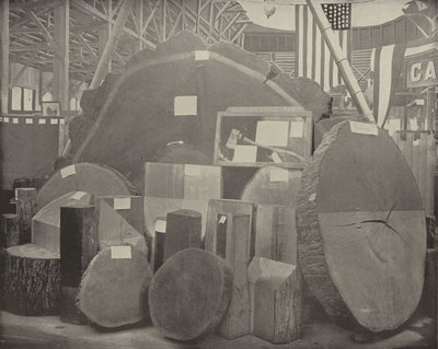 Gladstones Axe tekijältä American Photographer