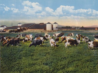 H R Timm Dairy, Dixon, Kalifornia (värikuva). tekijältä American Photographer