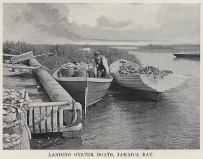 Landing Oyster Boats, Jamaica Bay (m/w kuva) tekijältä American Photographer
