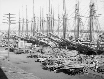 Muelle Tallapiedras, Havanna, n. 1904 (m/v kuva) tekijältä American Photographer