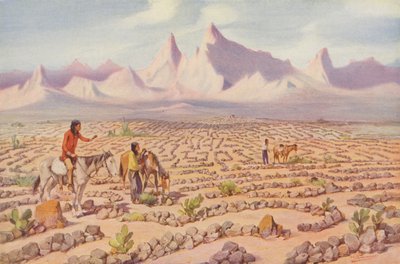 Mojave-intiaanien mystinen labyrintti, Needlesin lähellä, Kalifornia (värillinen kuva) tekijältä American Photographer