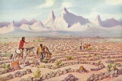 Mojave-intiaanien mystinen sokkelo, lähellä Needlesiä, Kalifornia (värillinen kuva) tekijältä American Photographer