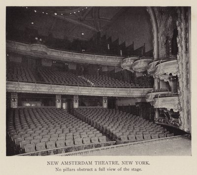 New Amsterdamin teatteri, New York (s/w-kuva) tekijältä American Photographer
