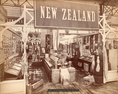 Uusi-Seelanti, satavuotisjuhlanäyttely, 1876 (albumiprintti) tekijältä American Photographer