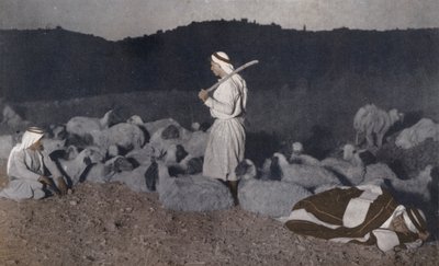 Palestiinalaiset paimenet katselevat laumaansa yöllä (värillinen kuva). tekijältä American Photographer