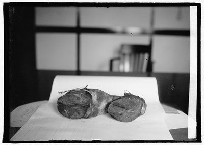 Kieltoyksikkö (Cow Shoes), 28. kesäkuuta 1924 (m/v kuva) tekijältä American Photographer