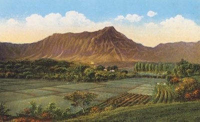 Riisipellot, Oahu (värikuva) tekijältä American Photographer