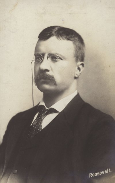 Roosevelt tekijältä American Photographer