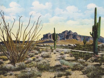 Superstition-vuori ja aavikko, "Apache Trail" (värikuva) tekijältä American Photographer