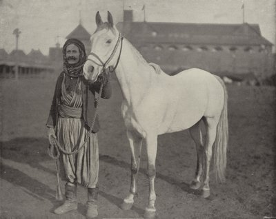 Beduiinit-palkinto Steed tekijältä American Photographer