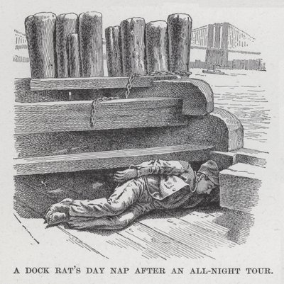 Dock Rat