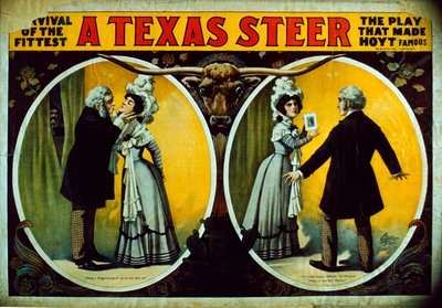 Texas Steer tekijältä American School