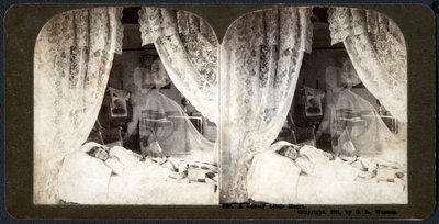 Yksinäinen pieni sydän, 1901 (stereografi) tekijältä American School