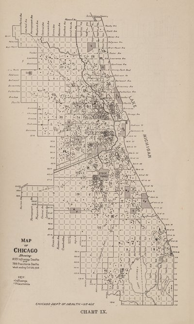 Raportti influenssaepidemiasta Chicagon kaupungissa syksyllä 1918 tekijältä American School