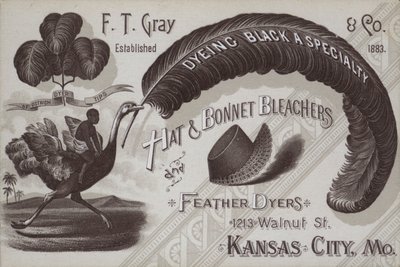 Mainos F T Greyn, hatun ja konepellin valkaisukoneista ja höyhenvärjäjistä, Kansas City, Missouri, USA (litho) tekijältä American School