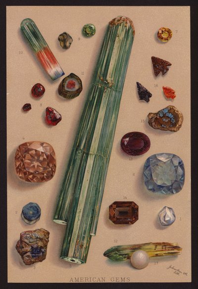 Amerikkalaiset jalokivet (värilitografia) tekijältä American School