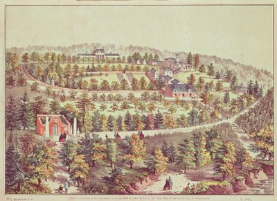 Lintuperspektiivistä Mount Vernon, 1859 tekijältä American School