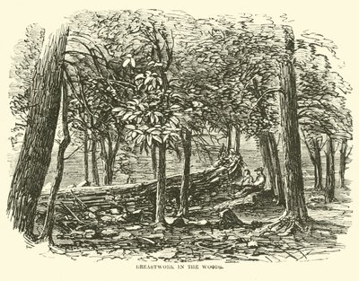 Rintatyöt metsässä, heinäkuu 1863 tekijältä American School