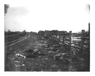 Confederate Dead Hagerstown Piken länsipuolella, Antietamin taistelu, 19. syyskuuta 1862 tekijältä American School