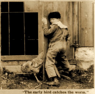 Yksityiskohta "Varhainen lintu saa madon kiinni" stereoskooppisesta kortista n. 1900 (b/w kuva) tekijältä American School