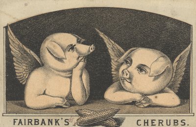 Fairbanks Cherubs, Fairbank Lardin mainos, n. 1880 tekijältä American School