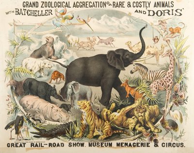 Suuri harvinaisten ja kalliiden eläinten eläintieteellinen ryhmittymä Batchellerin ja Dorisin kanssa (chromolitho) tekijältä American School