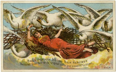 Halls Vegetable Sicilian Hair Renewer, palauttaa harmaille hiuksille sen alkuperäisen värin ja ehkäisee kaljuuntumista, Recto (värilitho [kauppakortti]) tekijältä American School
