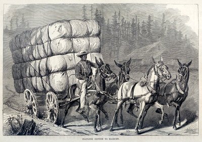 Puuvillan kuljettaminen markkinoille, Yhdysvaltain sadan vuoden edistysaskelista, pubi. 1871 kaiverrus tekijältä American School